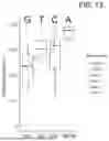 Fig. 15 - COMPOSITIONS AND METHODS FOR TREATING SKIN DISEASES, DISORDERS, AND CONDITIONS