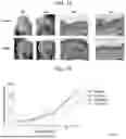 Fig. 17 - COMPOSITIONS AND METHODS FOR TREATING SKIN DISEASES, DISORDERS, AND CONDITIONS