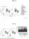 Fig. 19 - COMPOSITIONS AND METHODS FOR TREATING SKIN DISEASES, DISORDERS, AND CONDITIONS