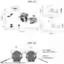 Fig. 20 - COMPOSITIONS AND METHODS FOR TREATING SKIN DISEASES, DISORDERS, AND CONDITIONS