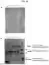 Fig. 30 - COMPOSITIONS AND METHODS FOR TREATING SKIN DISEASES, DISORDERS, AND CONDITIONS
