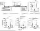 Fig. 28 - METHODS AND COMPOSITIONS FOR TREATING CANCER