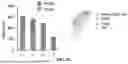 Fig. 37 - METHODS AND COMPOSITIONS FOR TREATING CANCER