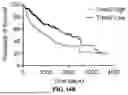 Fig. 46 - METHODS AND COMPOSITIONS FOR TREATING CANCER