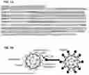 Fig. 02 - USE OF VIRUS-LIKE PARTICLES IN VACCINATION
