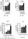 Fig. 02 - METHODS AND COMPOSITIONS RELATING TO TREATMENT OF PULMONARY ARTERIAL HYPERTENSION