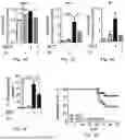 Fig. 07 - METHODS AND COMPOSITIONS RELATING TO TREATMENT OF PULMONARY ARTERIAL HYPERTENSION