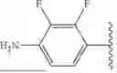 Fig. 216 - STEROIDS AND PROTEIN-CONJUGATES THEREOF