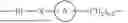 Fig. 484 - STEROIDS AND PROTEIN-CONJUGATES THEREOF