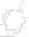 Fig. 697 - STEROIDS AND PROTEIN-CONJUGATES THEREOF