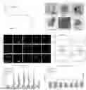 Fig. 01 - CATIONIC PEPTIDE/PROTEIN-MODIFIED EXOSOMES FOR APPLICATIONS IN DRUG DELIVERY