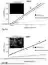 Fig. 07 - COMPOSITIONS AND METHODS FOR VIROTHERAPY