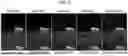 Fig. 06 - HYBRID AAV CAPSID AND USES THEREOF