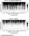 Fig. 12 - USE OF LENTIVIRAL VECTORS EXPRESSING FACTOR VIII