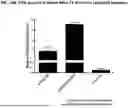 Fig. 29 - USE OF LENTIVIRAL VECTORS EXPRESSING FACTOR VIII
