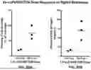 Fig. 47 - USE OF LENTIVIRAL VECTORS EXPRESSING FACTOR VIII