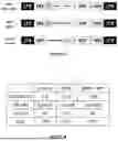 Fig. 09 - PRECISE INTEGRATION USING NUCLEASE TARGETED IDLV