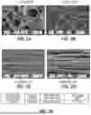 Fig. 04 - ALIGNED FIBER AND METHOD OF USE THEREOF