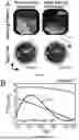 Fig. 02 - MICROROBOTS WITH DISTRIBUTED ACTUATION