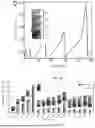 Fig. 08 - MICROROBOTS WITH DISTRIBUTED ACTUATION
