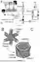 Fig. 09 - MICROROBOTS WITH DISTRIBUTED ACTUATION