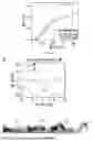 Fig. 49 - MICROROBOTS WITH DISTRIBUTED ACTUATION