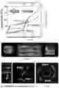 Fig. 86 - MICROROBOTS WITH DISTRIBUTED ACTUATION