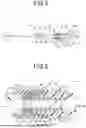 Fig. 03 - Valved Needle Assembly and Indwelling Needle Assembly