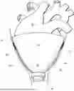 Fig. 01 - DIRECT CARDIAC COMPRESSION DEVICE WITH PERICARDIAL ELECTRODES