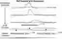 Fig. 01 - Device and Implantation System for Electrical Stimulation of Biological Systems