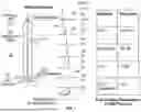 Fig. 02 - Device and Implantation System for Electrical Stimulation of Biological Systems