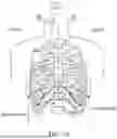 Fig. 22 - OBSTRUCTIVE SLEEP APNEA TREATMENT DEVICES, SYSTEMS AND METHODS