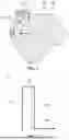 Fig. 02 - TRANSCRANIAL MAGNETIC STIMULATION COIL