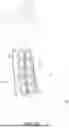 Fig. 05 - PATCH NEGATIVE MAGNETIC DEVICE