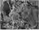 Fig. 01 - PHOTOCATALYTIC STRUCTURE AND METHOD FOR PRODUCING PHOTOCATALYTIC STRUCTURE