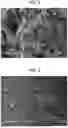 Fig. 03 - PHOTOCATALYTIC STRUCTURE AND METHOD FOR PRODUCING PHOTOCATALYTIC STRUCTURE