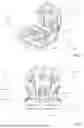 Fig. 02 - VEHICLE SEAT