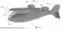 Fig. 06 - VTOL Aircraft Using Fixed Forward Canted Rotors With Forward-Facing Rotors