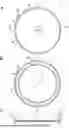 Fig. 01 - LID, CONTAINER WITH LID, AND COMBINATION OF LID AND CONTAINER