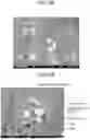Fig. 16 - SODIUM BOROHYDRIDE PRODUCTION METHOD