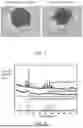 Fig. 02 - METHOD OF PREPARING BLACK PHOSPHORUS CRYSTALS