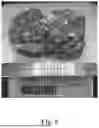 Fig. 08 - METHOD OF PREPARING BLACK PHOSPHORUS CRYSTALS