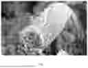 Fig. 06 - Catalyst, Catalyst Precursor, Production Process, and Resulting High Purity and Controlled Morphology Carbon Nanotubes