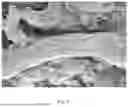 Fig. 07 - Catalyst, Catalyst Precursor, Production Process, and Resulting High Purity and Controlled Morphology Carbon Nanotubes