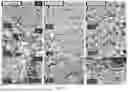 Fig. 09 - Catalyst, Catalyst Precursor, Production Process, and Resulting High Purity and Controlled Morphology Carbon Nanotubes