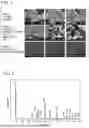 Fig. 04 - LAYERED MATERIAL NANOSHEET PRODUCTION METHOD, LAYERED MoS2 NANOSHEET, AND LAYERED GRAPHITE NANOSHEET