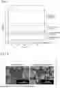 Fig. 05 - LAYERED MATERIAL NANOSHEET PRODUCTION METHOD, LAYERED MoS2 NANOSHEET, AND LAYERED GRAPHITE NANOSHEET