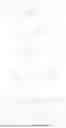 Fig. 445 - HETEROCYCLIC GLP-1 AGONISTS