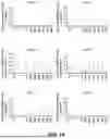Fig. 23 - ANTIMICROBIAL KINOCIDIN COMPOSITIONS AND METHODS OF USE