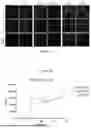 Fig. 03 - INTRACELLULAR CX3CL1 DOMAIN PEPTIDES AND USES THEREOF